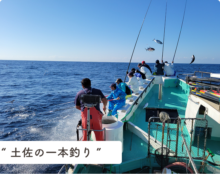 伝統的なカツオ漁法土佐の一本釣り
